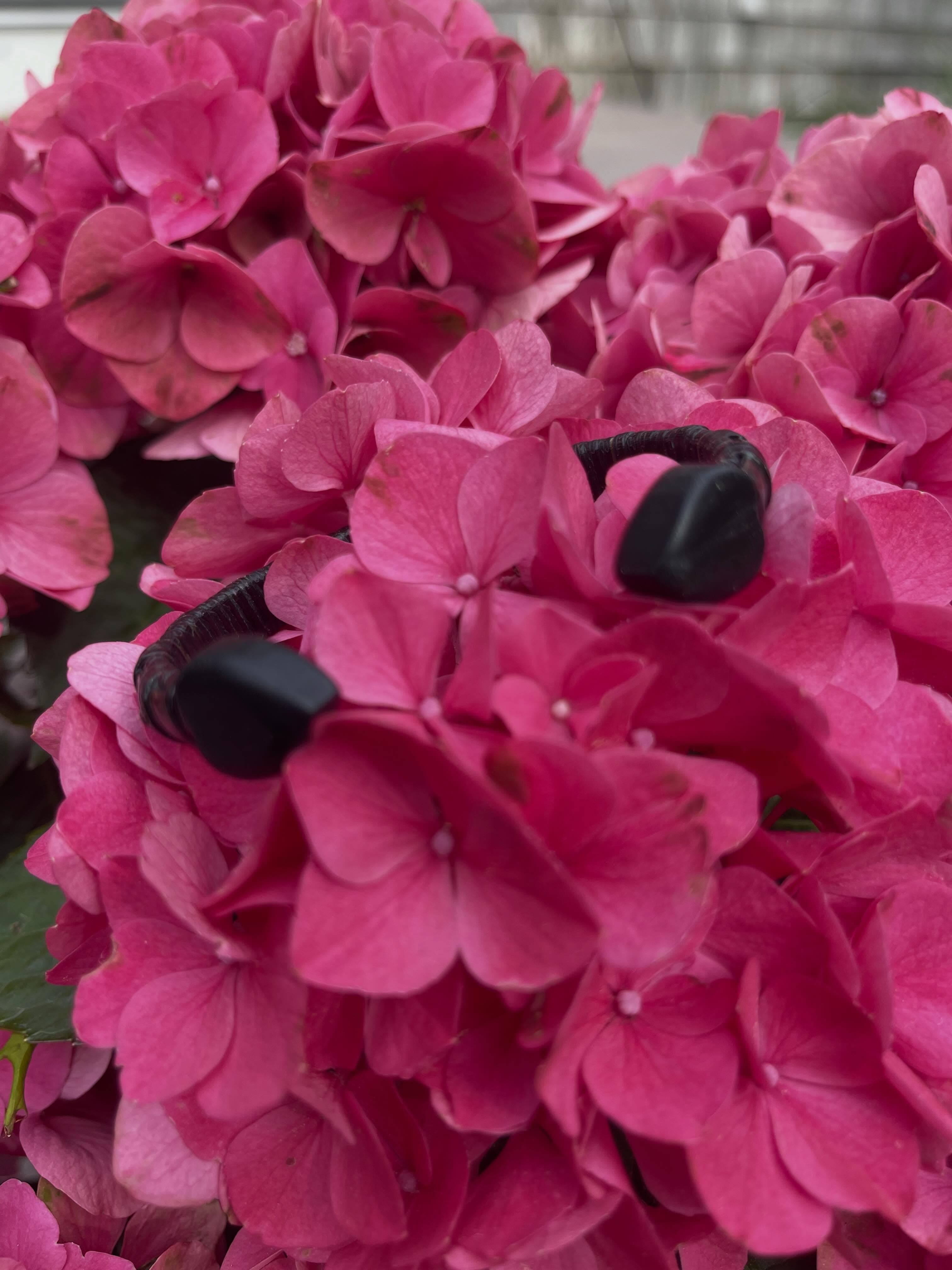 Ebony pink Nantucket cuff